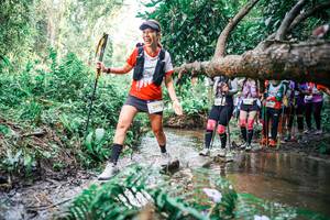 BIB: 
                            <button type="button" onclick="openModal(25516952)" class="btn btn-primary btn-sm float-right btn-popup" data-toggle="modal" data-target=".modal-high-quality">
                        <i class="fas fa-shopping-cart"></i> Add to Cart
                    </button>
                                            <button type="button" onclick="isThisMe(25516952, true)" class="btn btn-success btn-sm float-right btn-popup btn-isme hidden" data-toggle="tooltip" data-placement="bottom" title="นี่คือรูปของคุณใช่ไหม คลิกที่นี่เพื่อเอาเข้าอัลบั้ม">
                        <i class="fas fa-plus"></i> Add to album
                    </button>
                    <button type="button" onclick="isThisMe(25516952, false)" class="btn btn-warning btn-sm float-right btn-popup btn-isnotme hidden">
                        <i class="fas fa-ban"></i> Remove from album
                    </button>